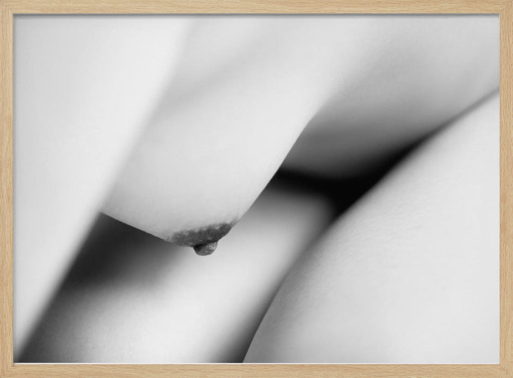 Der Körper | Poster