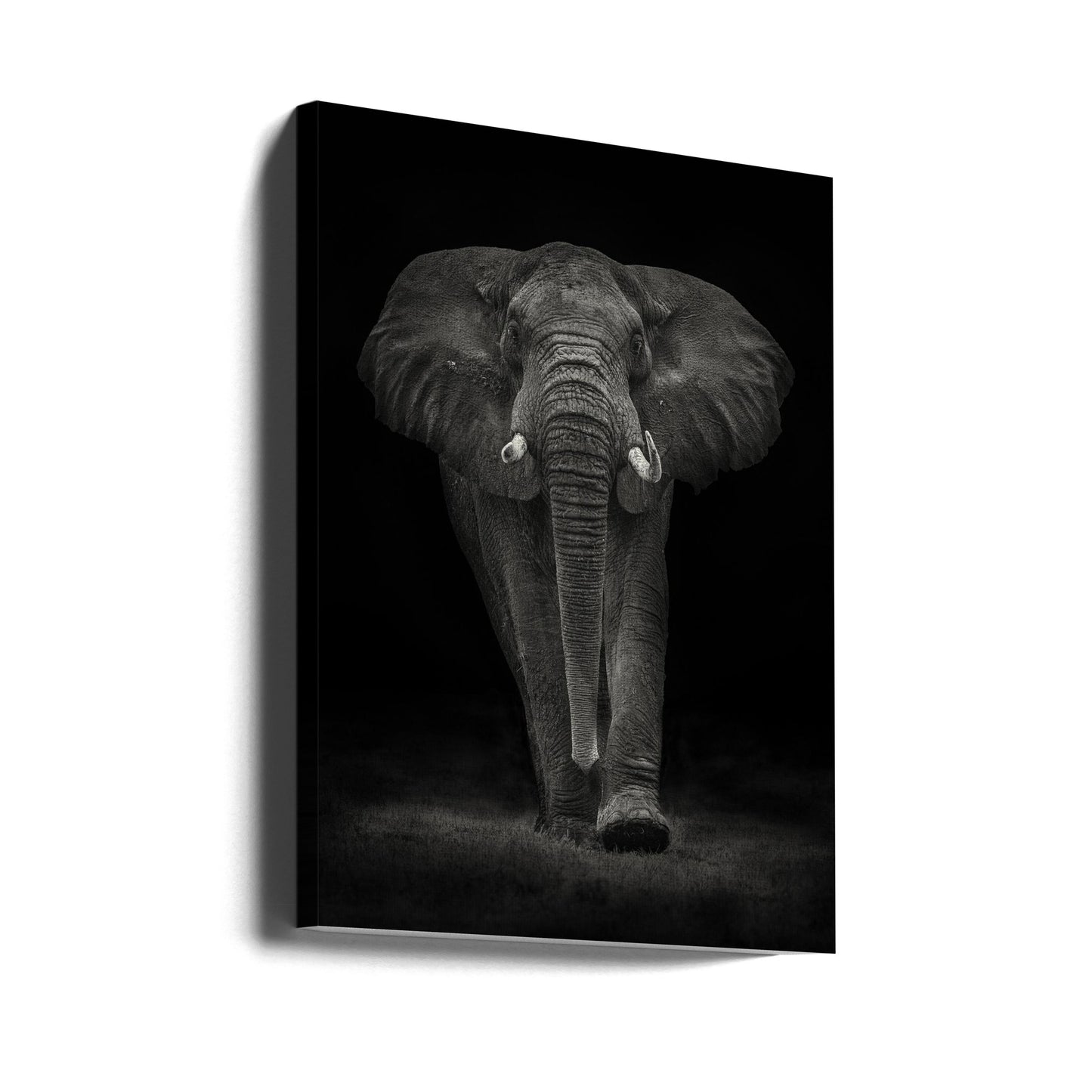 Ngorongoron härkä | Canvastaulut