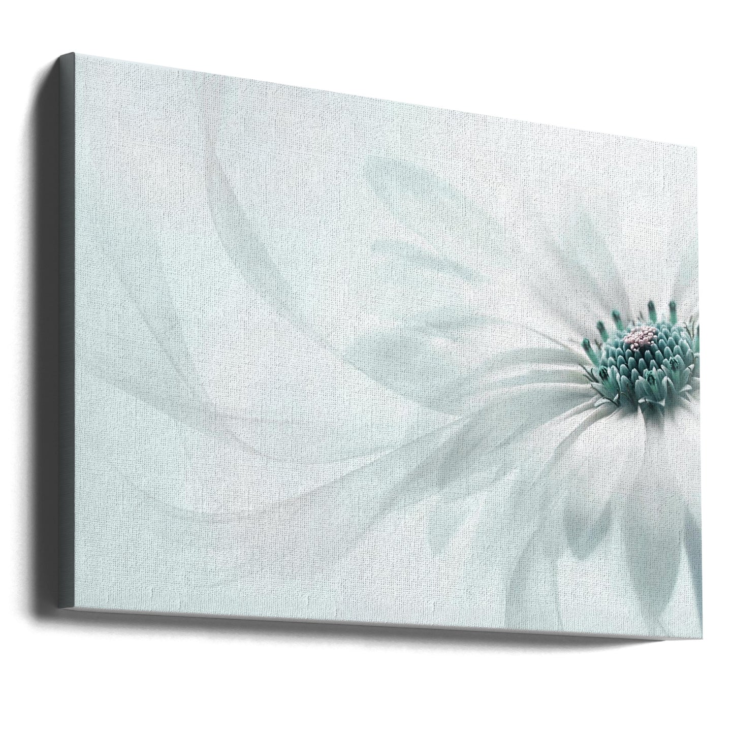 Czystość | Wydruki na łótnie