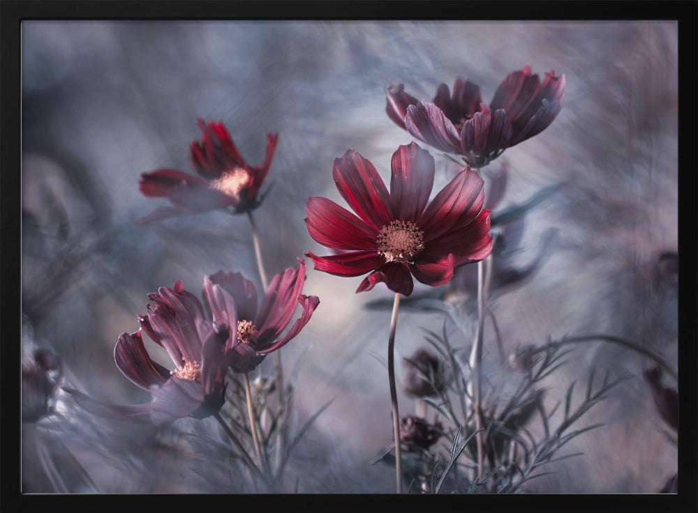 Cosmoslicious | Julisteet - Taidevedokset