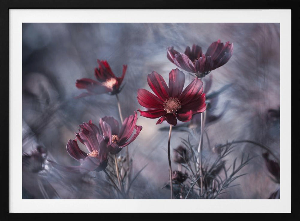 Cosmoslicious | Julisteet - Taidevedokset