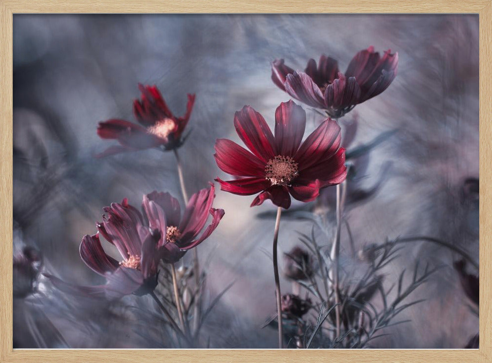 Cosmoslicious | Julisteet - Taidevedokset