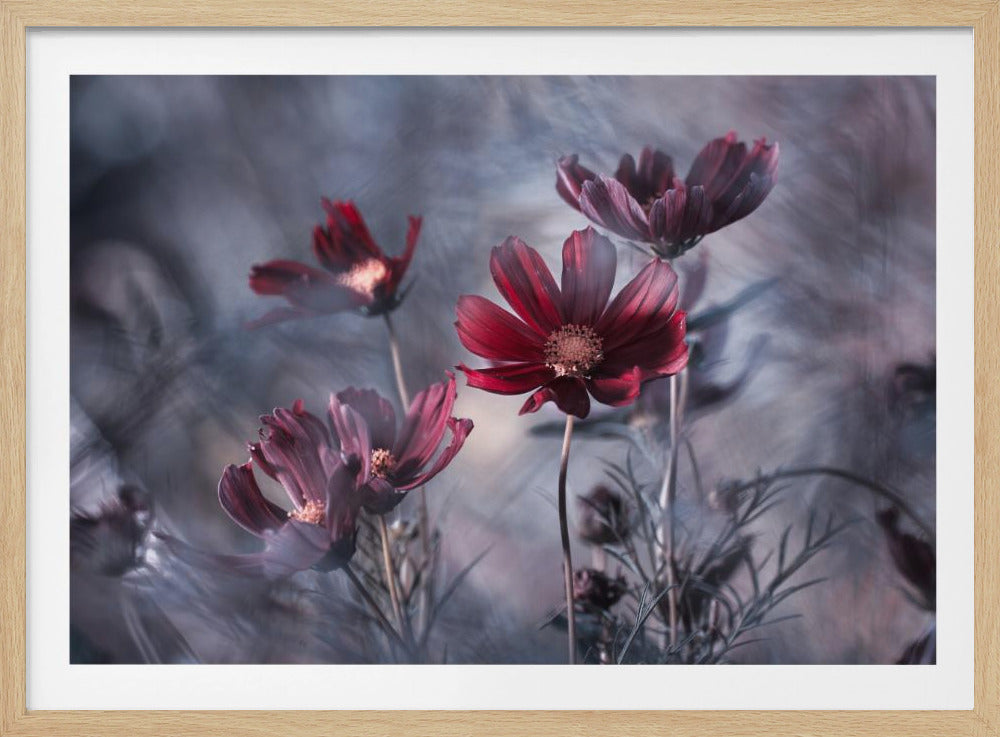 Cosmoslicious | Julisteet - Taidevedokset