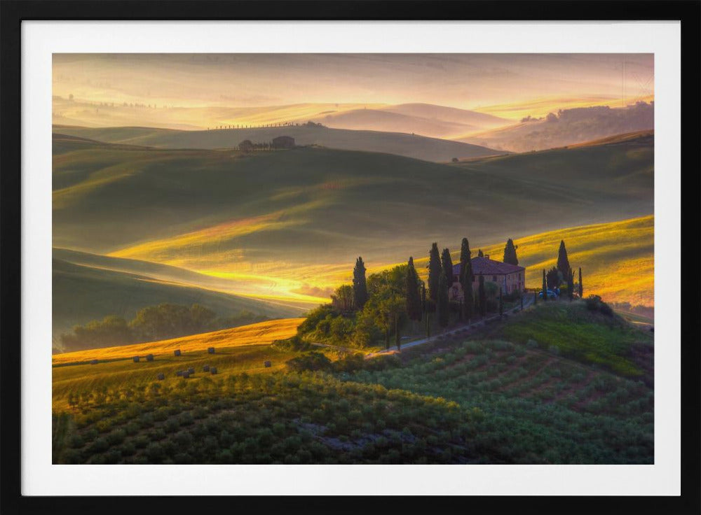 Zieleni i złota | Plakaty - Wydruki Artystyczne