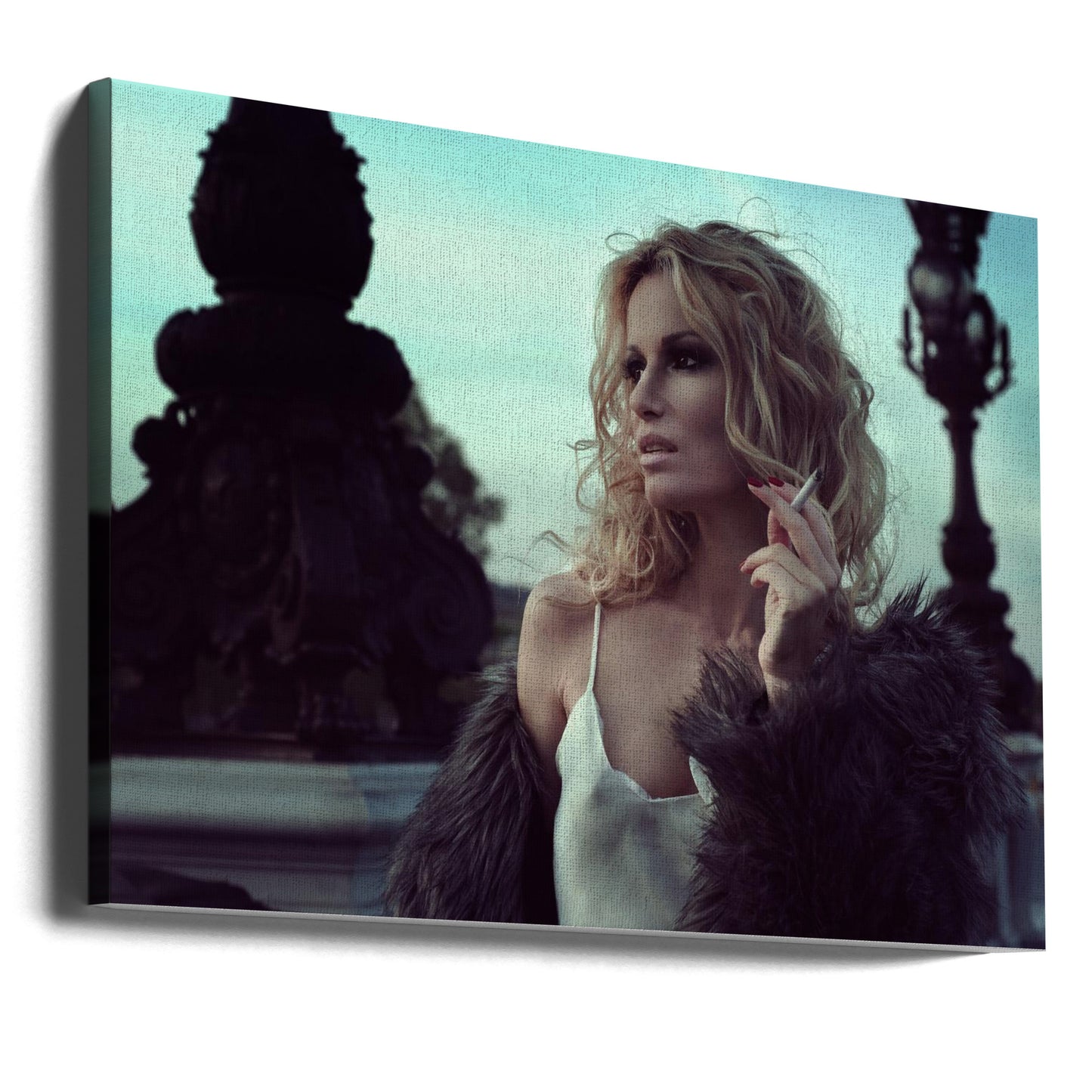 Viipyile | Canvastaulut