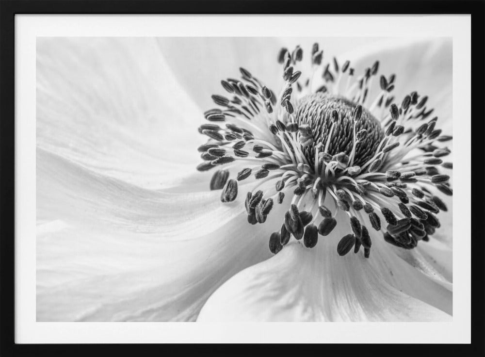 Vuokko | Julisteet - Taidevedokset