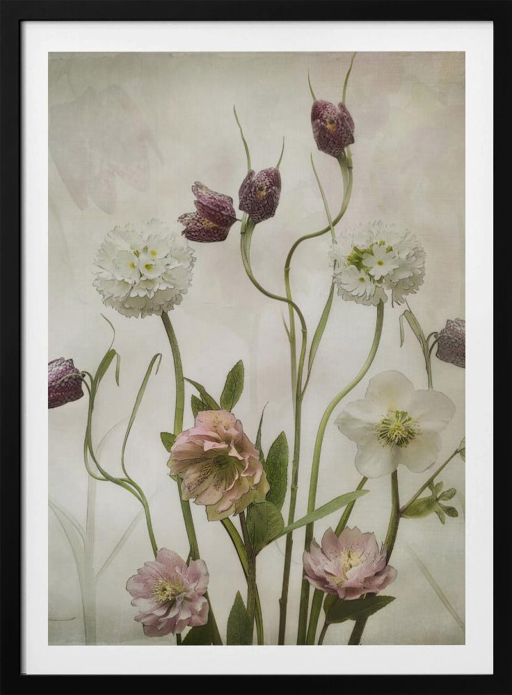 Spring Garden | Poster