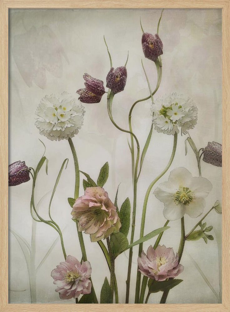 Spring Garden | Poster