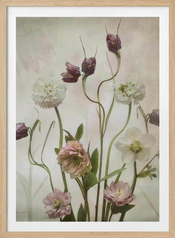 Spring Garden | Poster