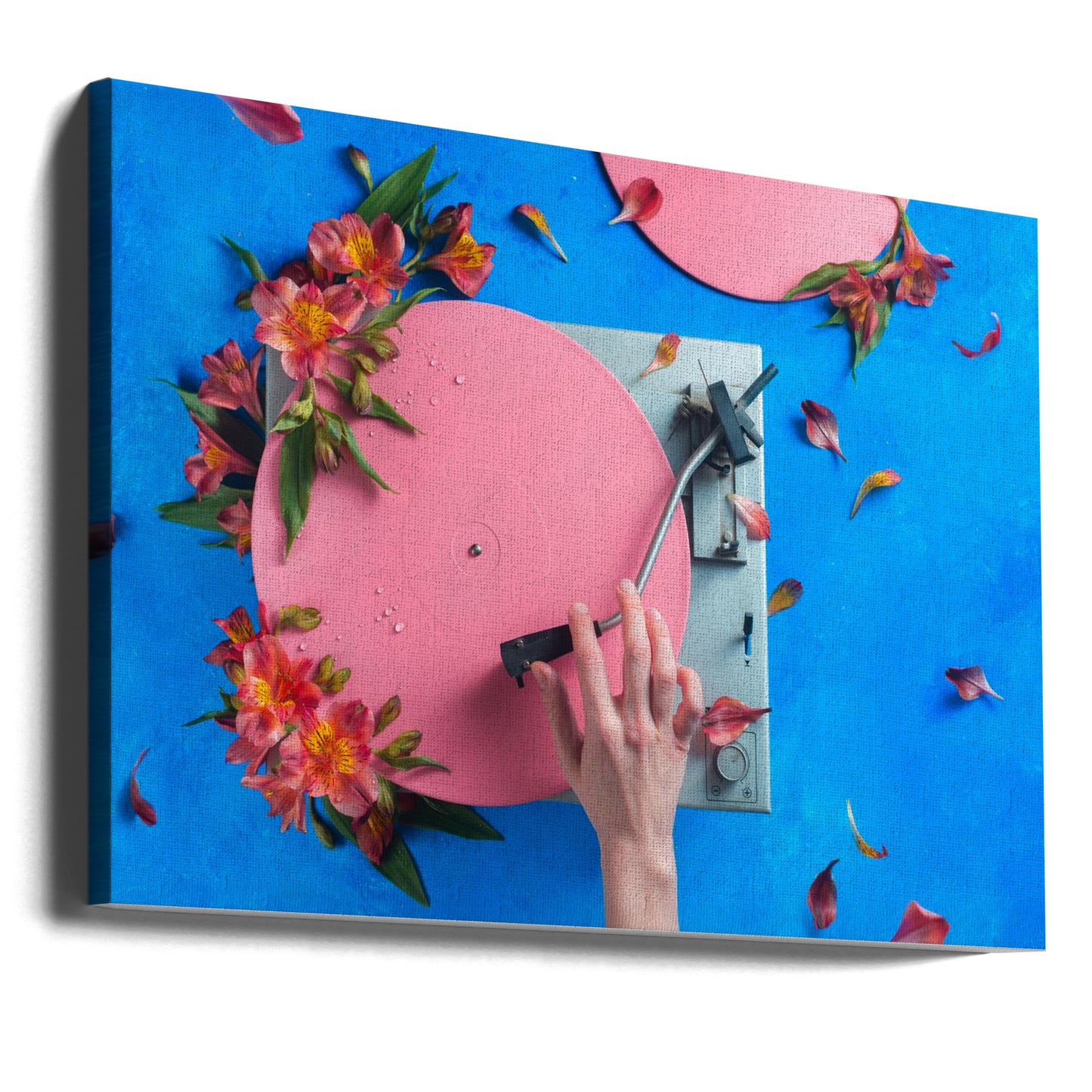 Spring Record | Canvas