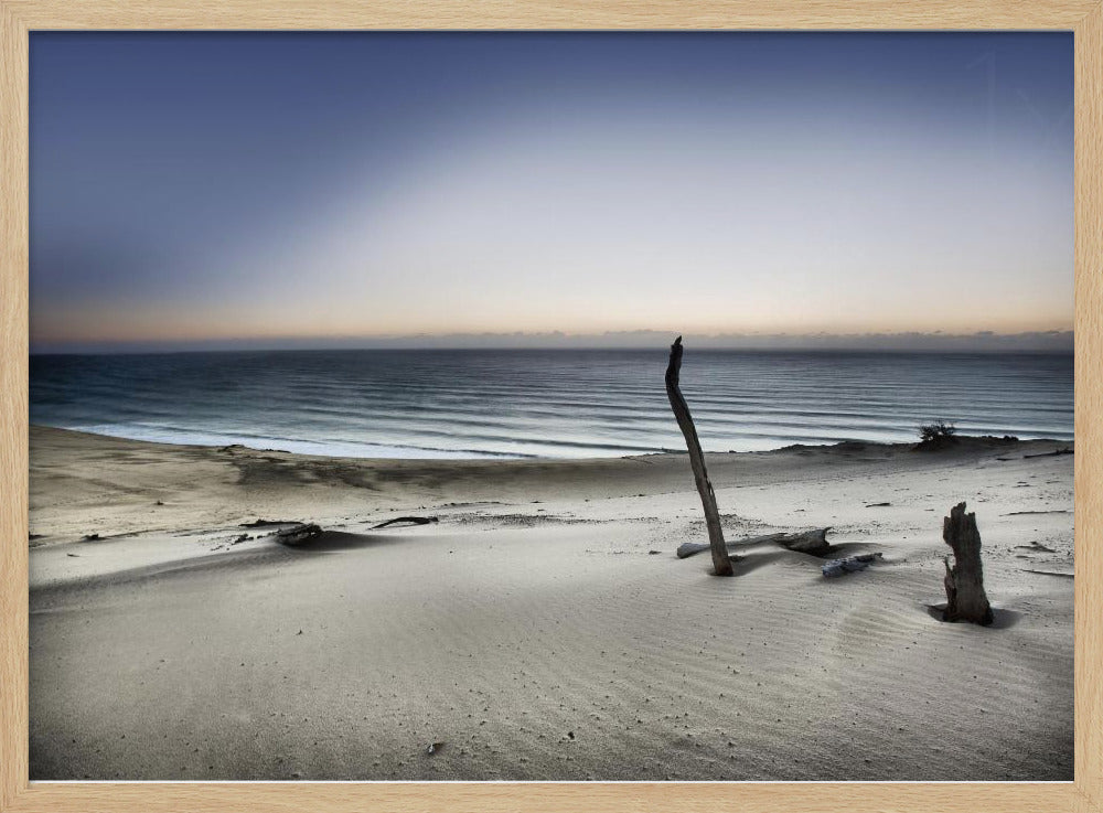 Kurottaudu aurinkoon | Julisteet - Taidevedokset