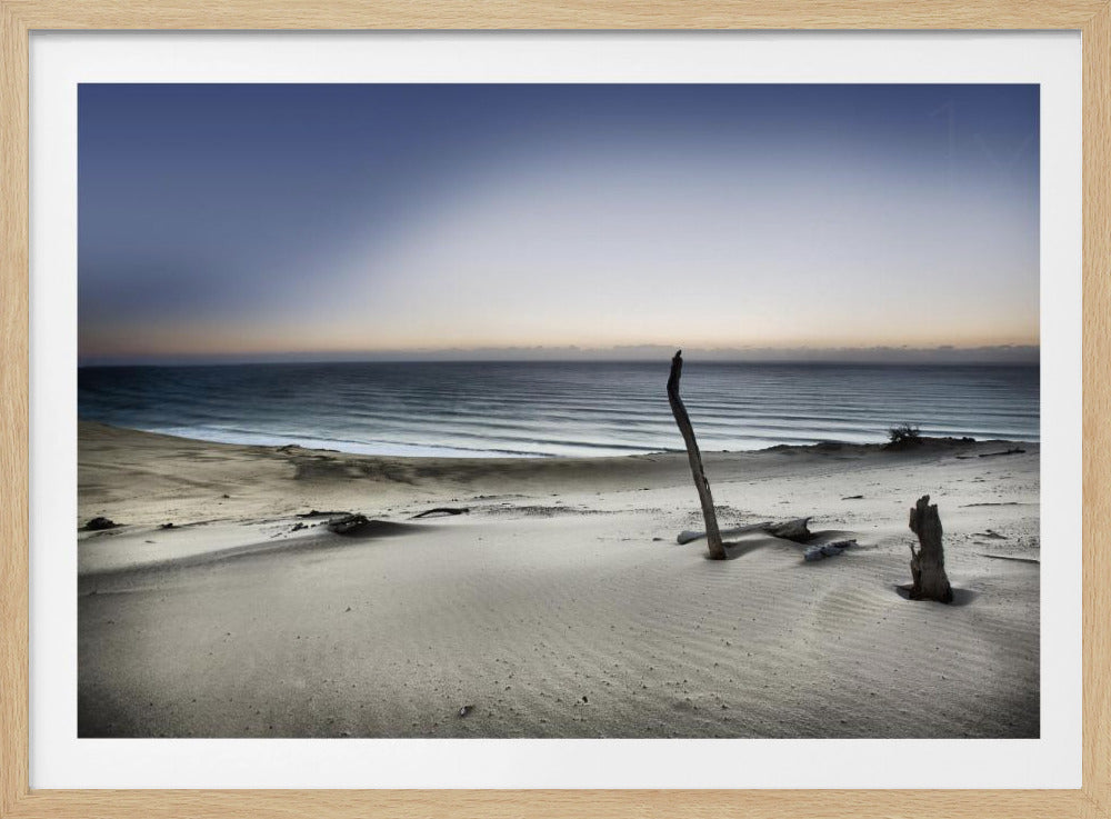 Kurottaudu aurinkoon | Julisteet - Taidevedokset