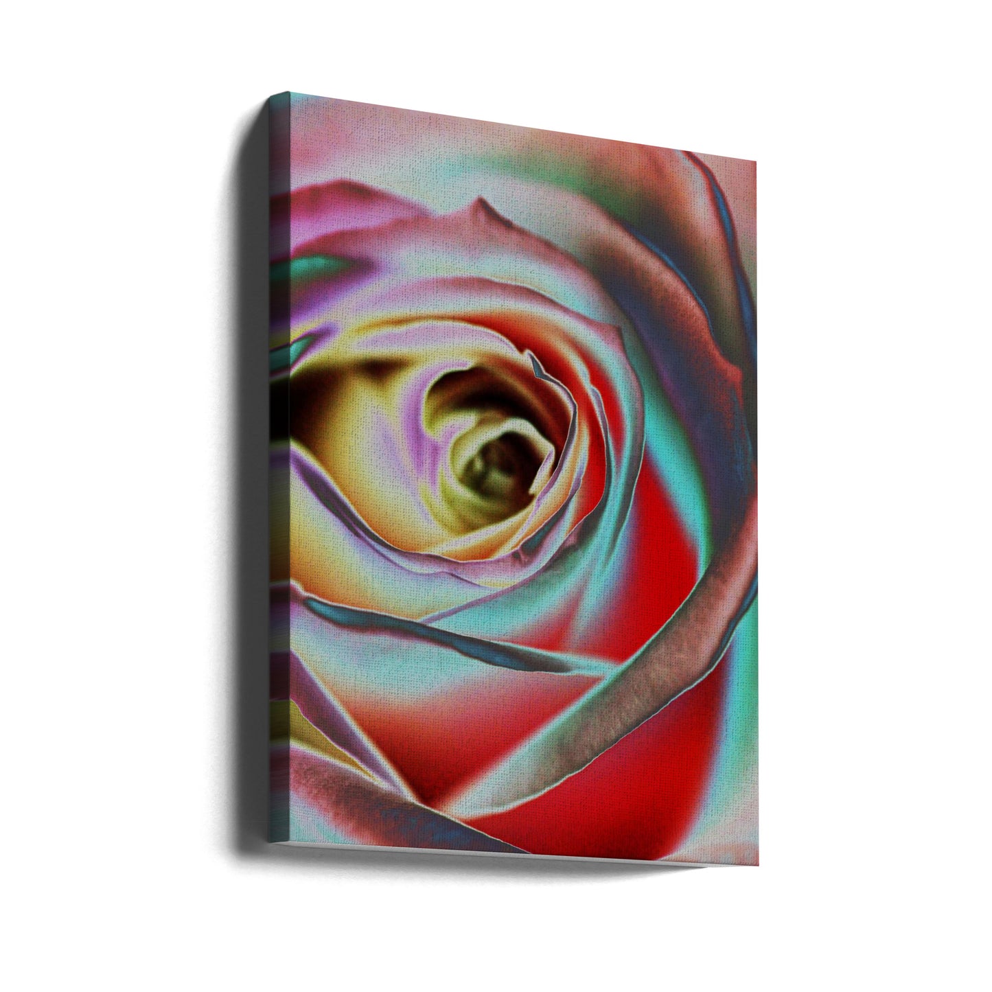 Rose | Canvas