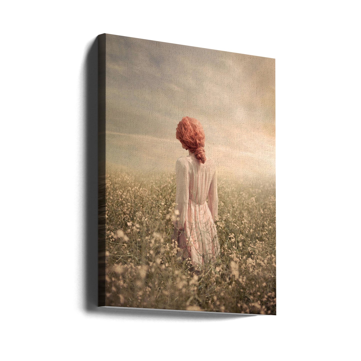 Champ en pastel | Tableaux sur Toile