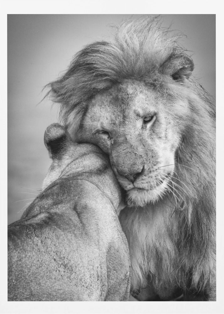 African Love! | Poster