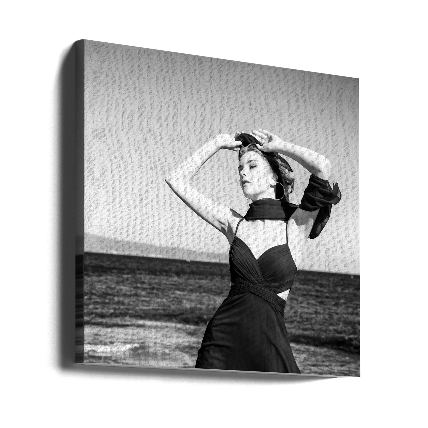 Model | Canvas