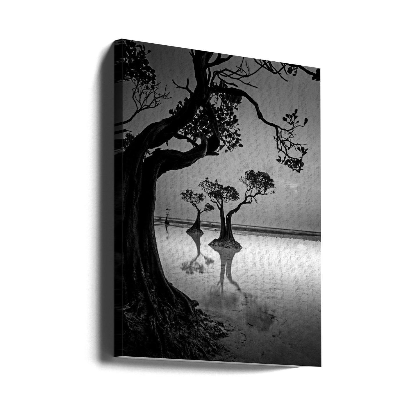 Kehystys | Canvastaulut