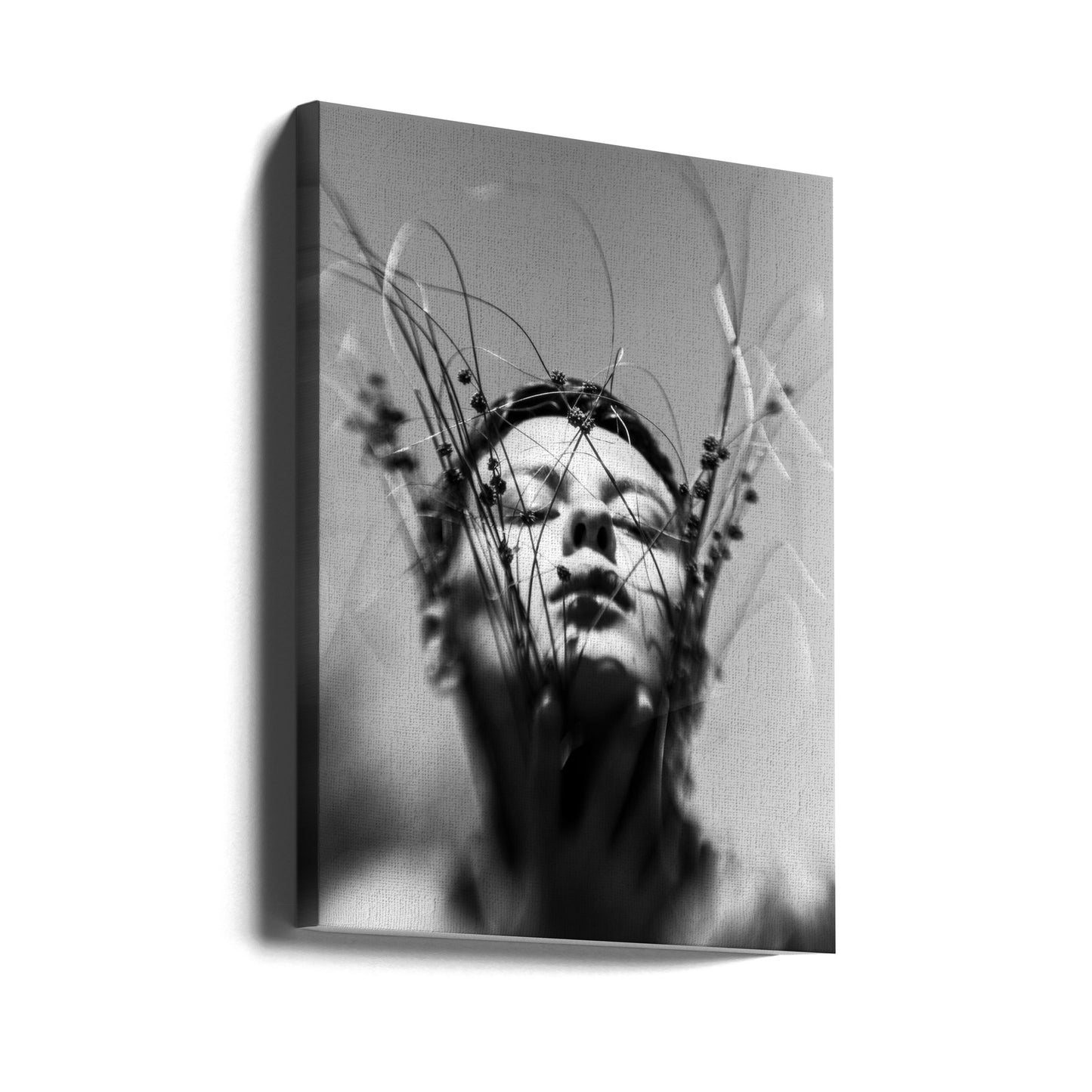 Nimetön | Canvastaulut