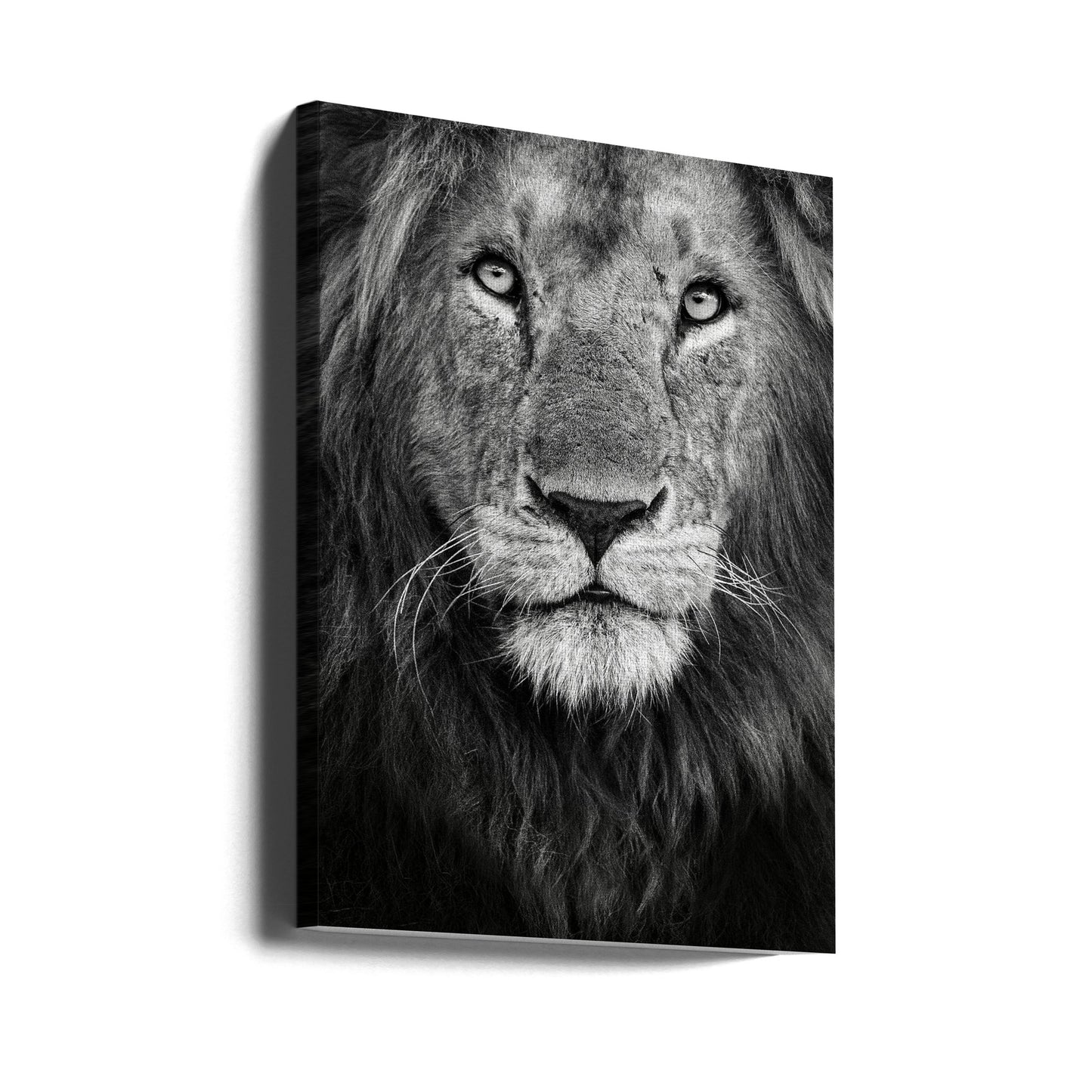 Königliches Porträt | Leinwand-Bilder