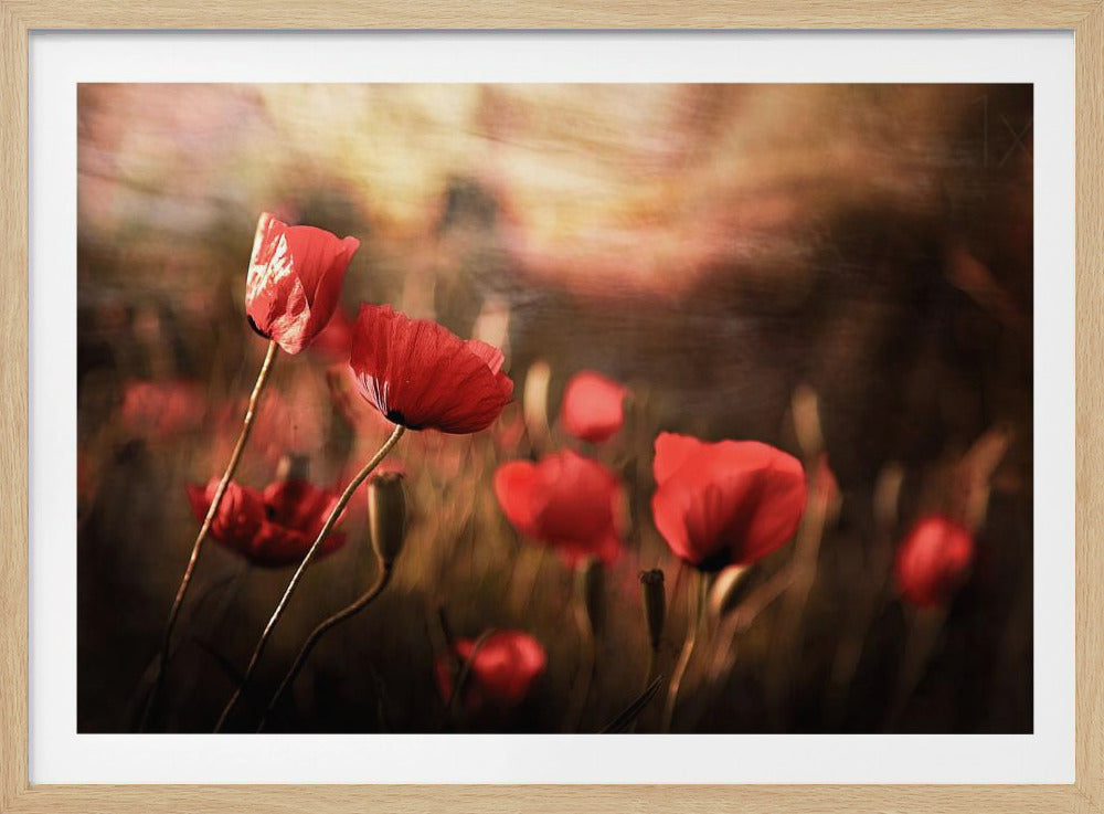 aamuilma | Julisteet - Taidevedokset