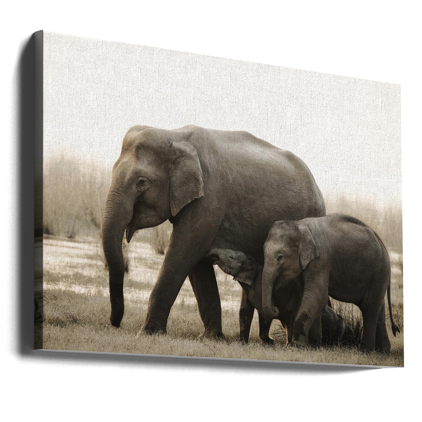 perhepotretti | Canvastaulut