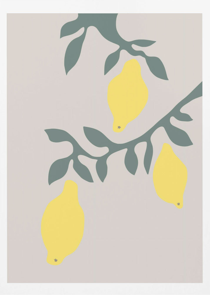 Lemons | Poster
