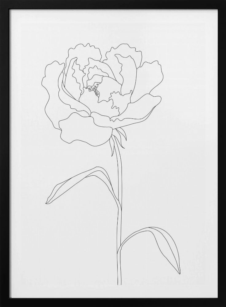 Peony Lines | Poster