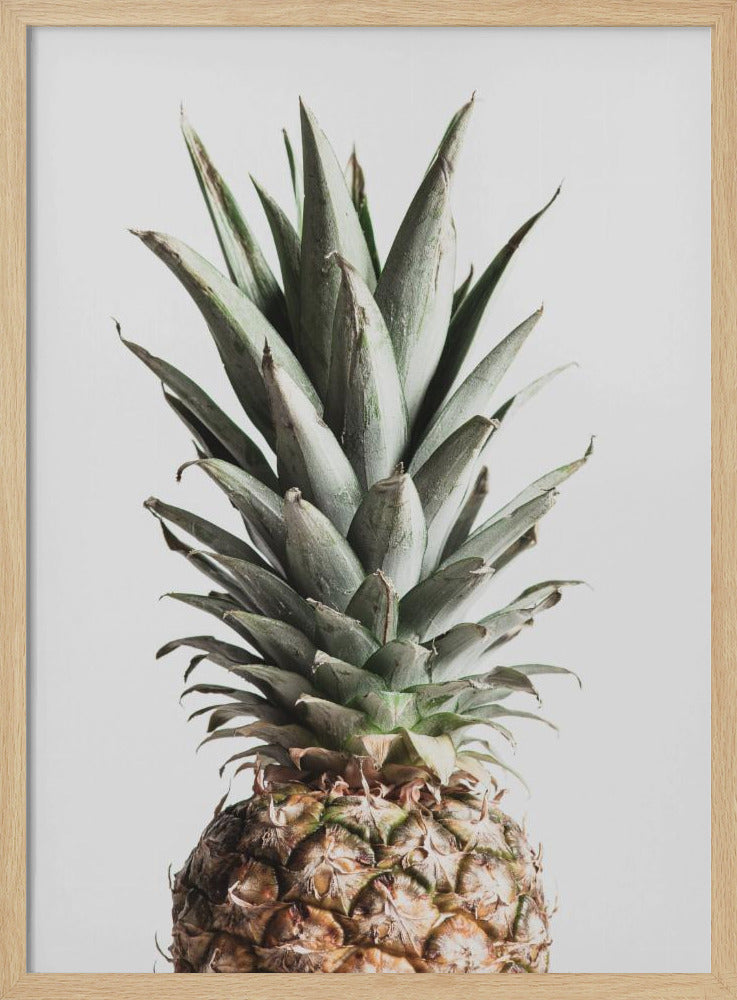 Ananas Naturel | Posters - Affiche Artistique