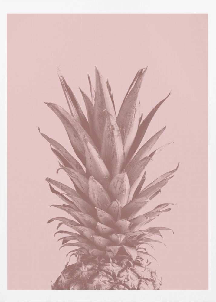 Ananas Pinkki 05 | Julisteet - Taidevedokset