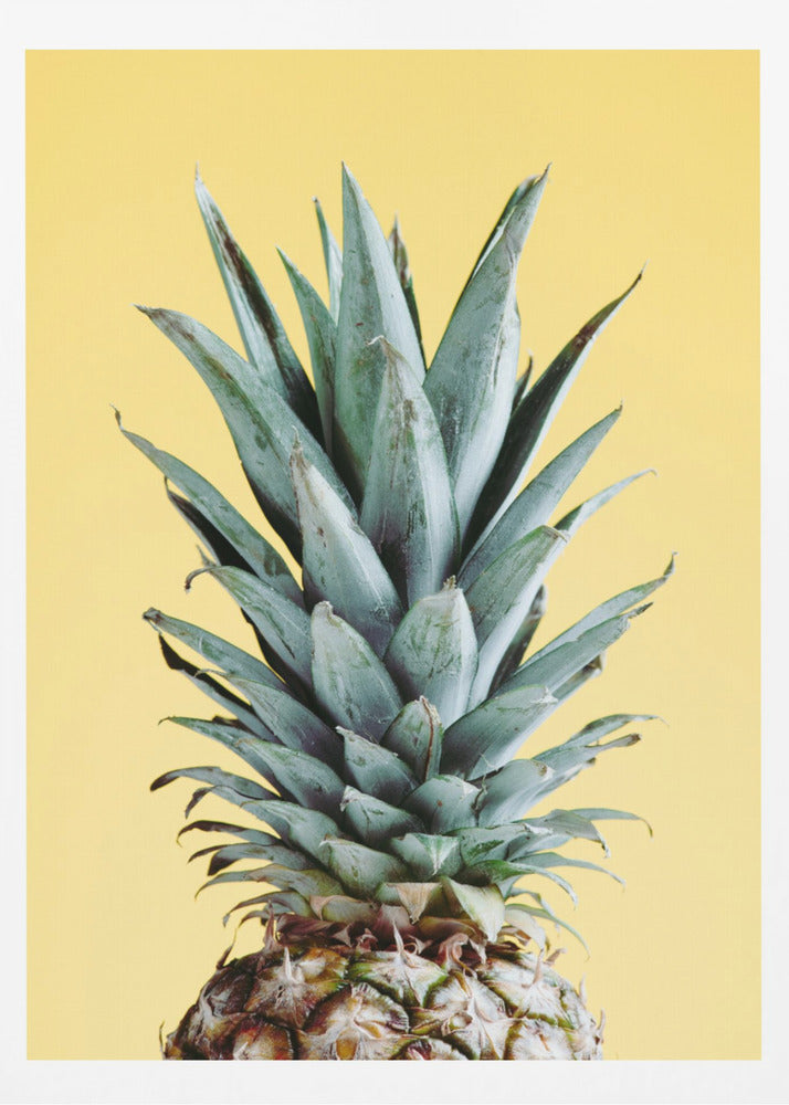 Ananas Gul 03 | Plakater - Kunsttryk