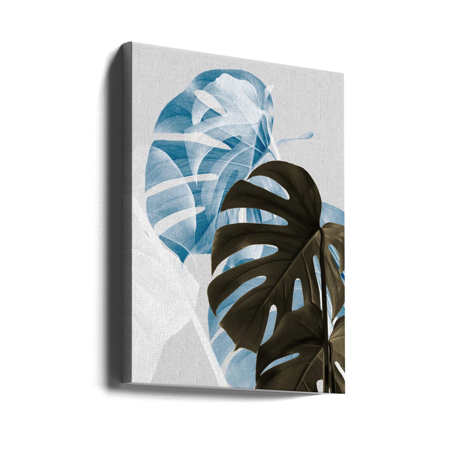 Monstera Creative 02 | Canvas