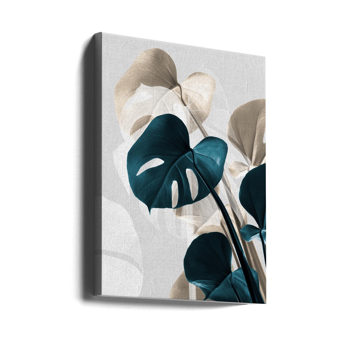 Monstera Creative 10 | Canvas