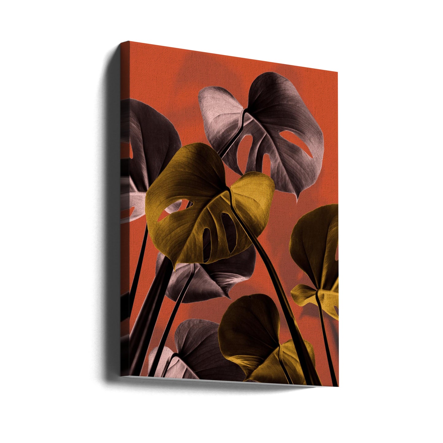 Monstera Orange 01 | Lærredsbilleder