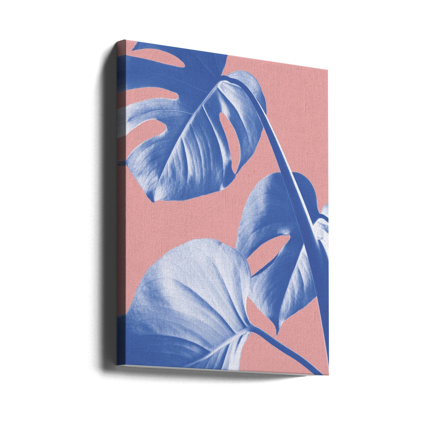 Monstera Purple 05 | Canvas