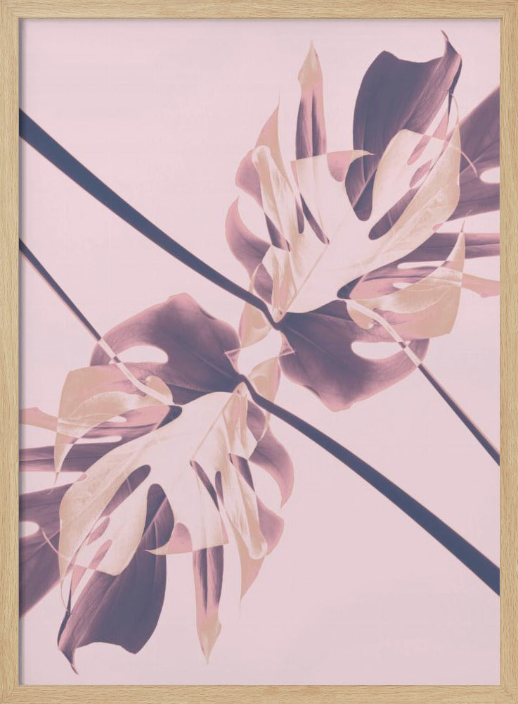 Monstera Kaleidoscope 07 | Poster