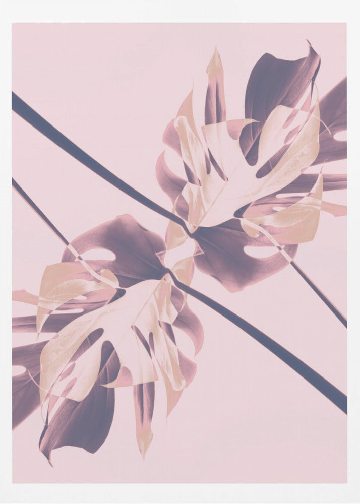 Monstera Kaleidoscope 07 | Poster