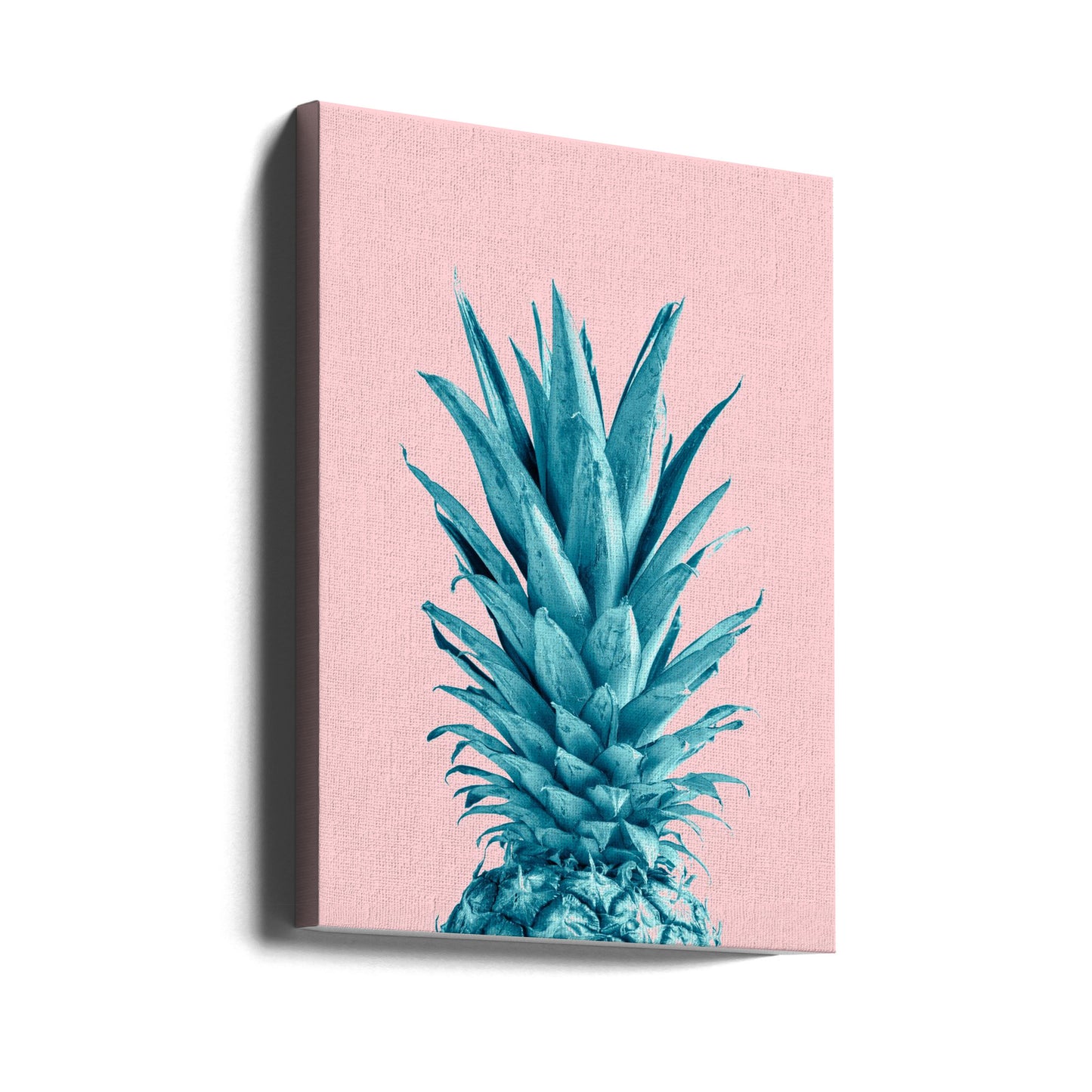 Pineapple Pink 07 | Canvas