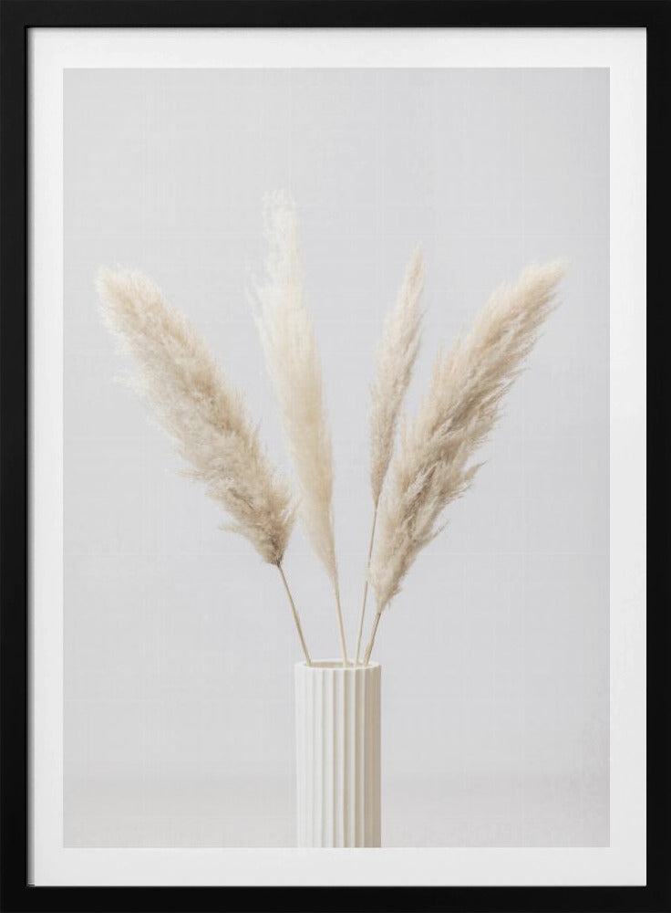 Pampas Grass Grey 09 | Poster