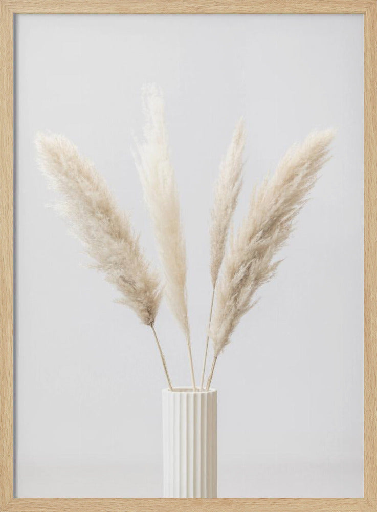Pampas Grass Grey 09 | Poster