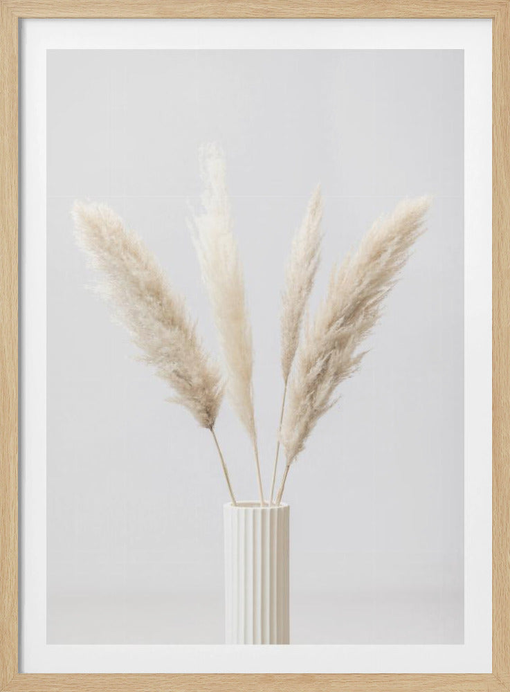 Pampas Grass Grey 09 | Poster