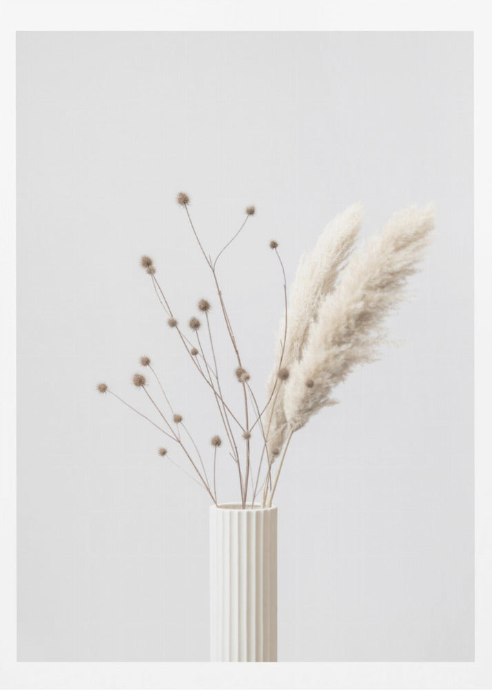 Thistle & Pampas 01 | Poster