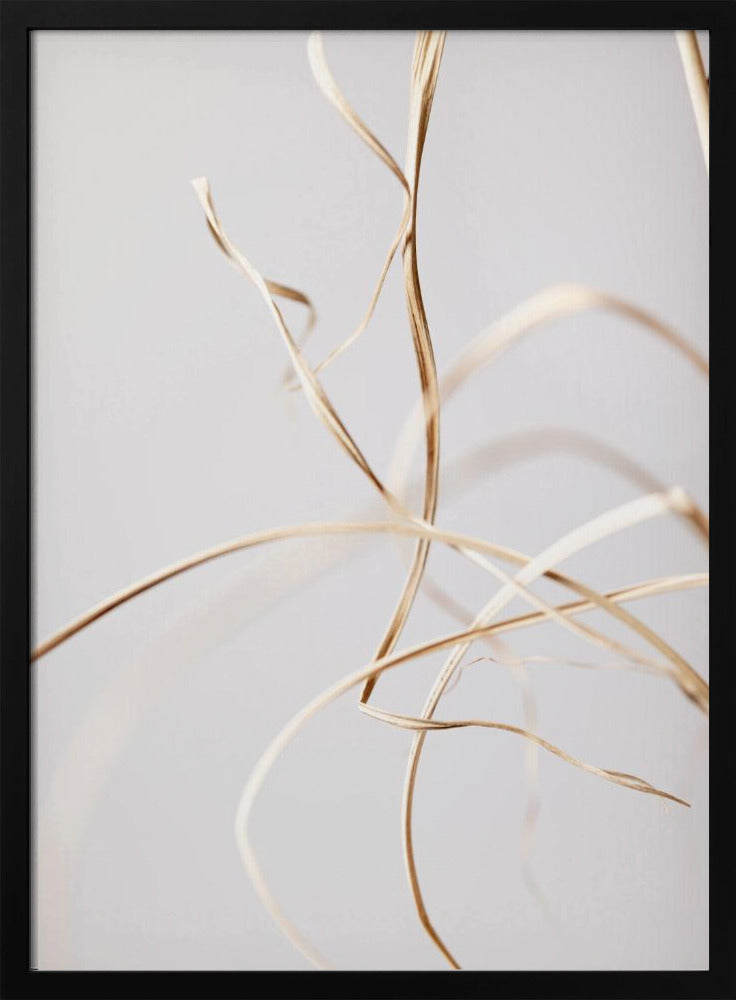 Dried Grass Grey 02 | Poster