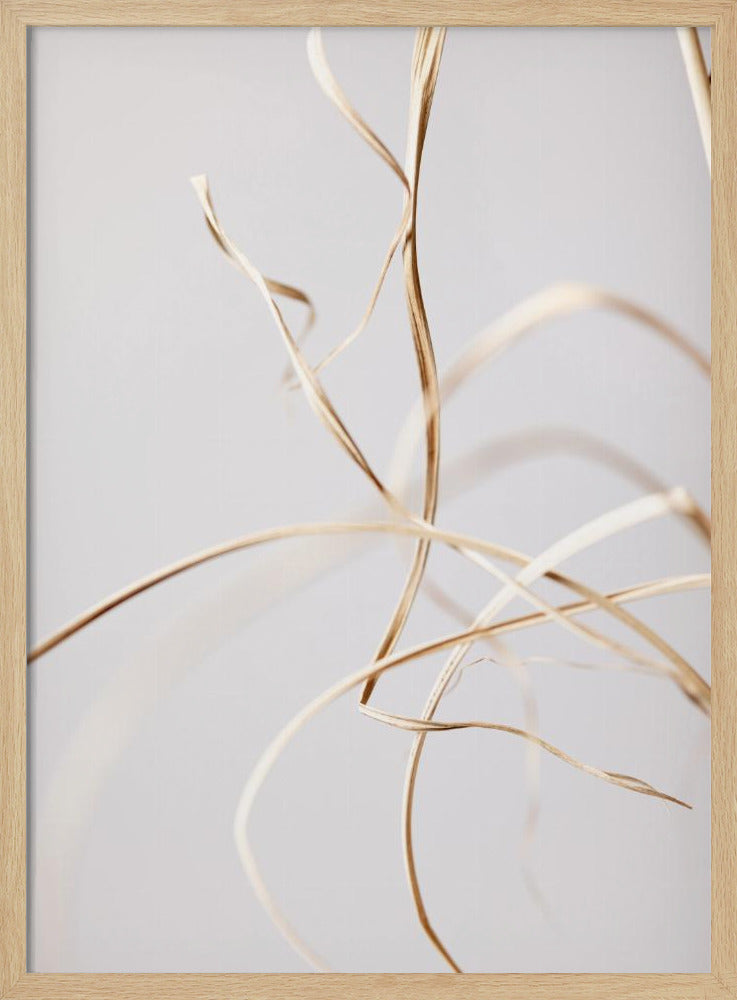 Dried Grass Grey 02 | Poster
