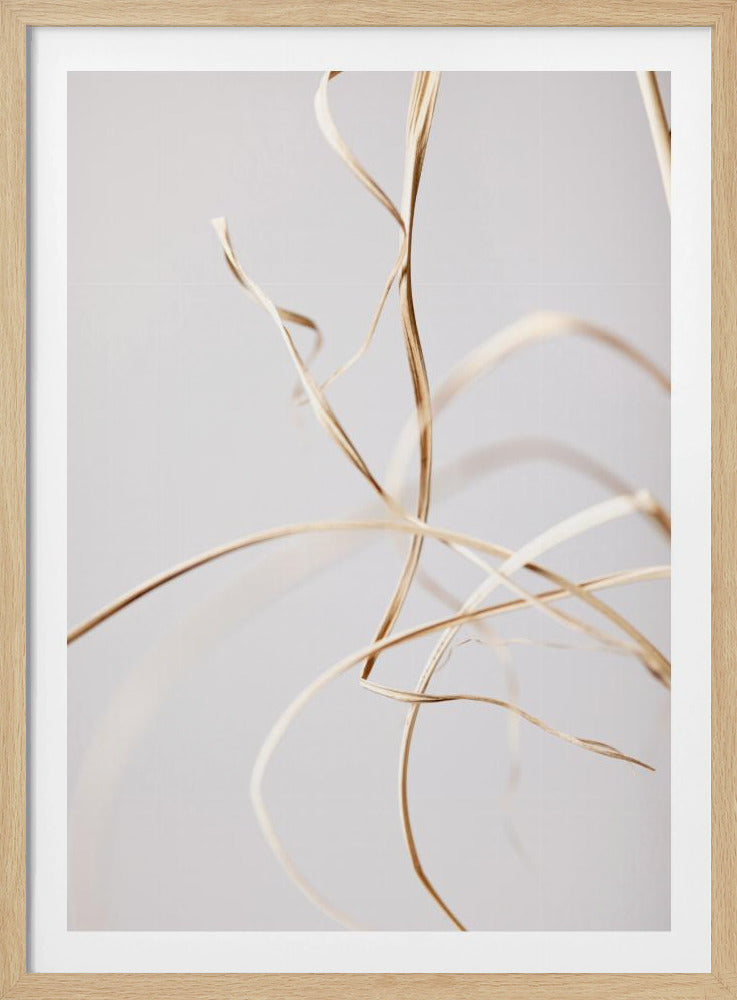 Dried Grass Grey 02 | Poster
