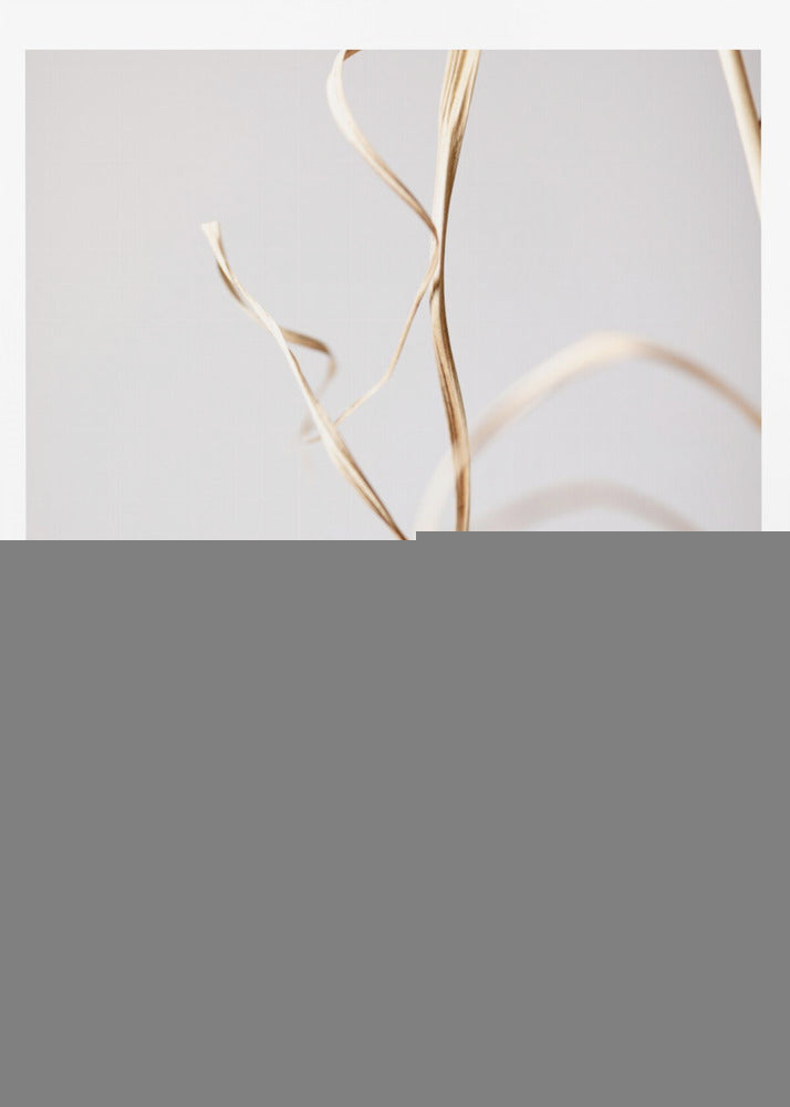 Dried Grass Grey 02 | Poster