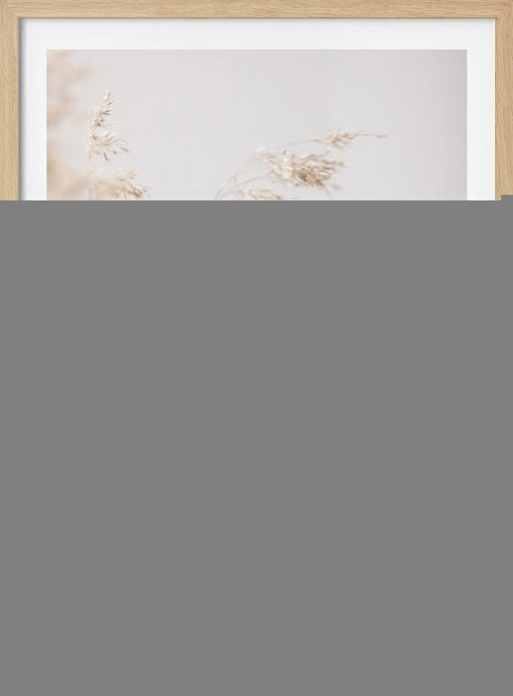 Reed Grass Grey 09 | Poster