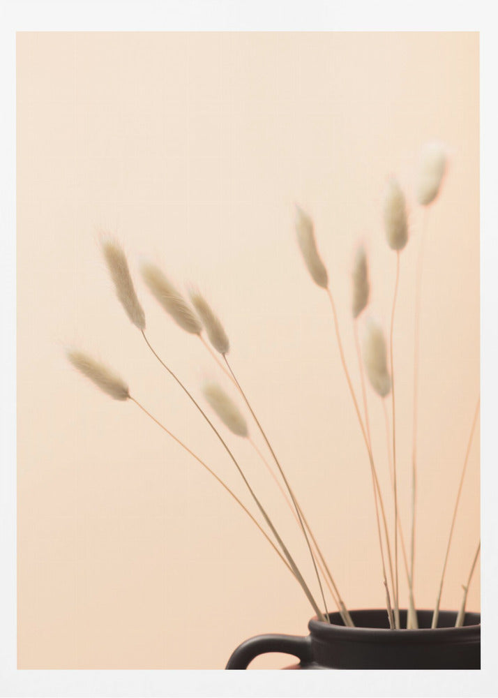 Bunny Grass Peach 01 | Poster