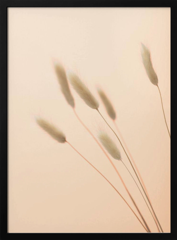 Bunny Grass Peach 03 | Poster