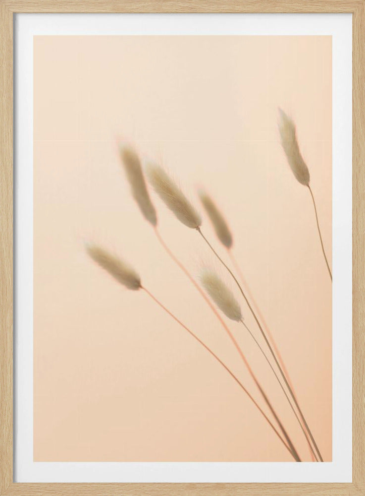 Bunny Grass Peach 03 | Poster