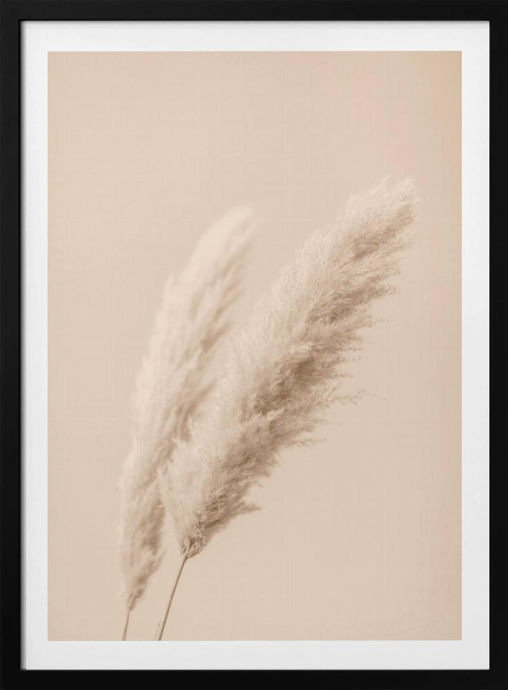 Pampas Grass Begie 15 | Poster